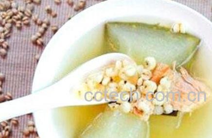 冬瓜薏米的功效与作用-1