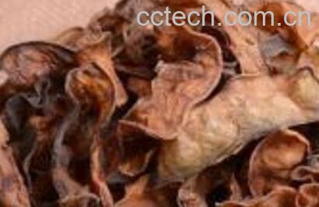 生的干扁豆角怎么吃-0