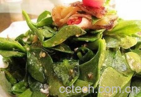 养心菜的营养价值-0