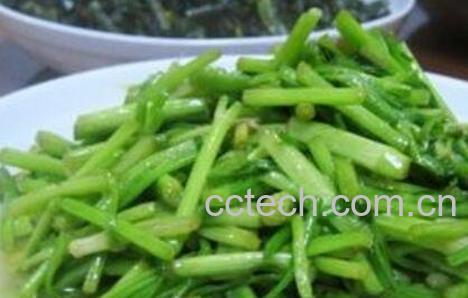 水芹菜如何做好吃 水芹菜的烹饪技巧-1