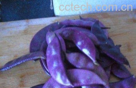 紫色的扁豆角怎么吃-0