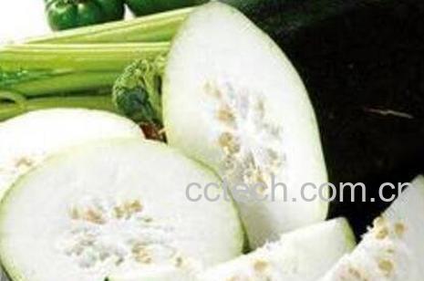 冬瓜瓤的功效与作用-1