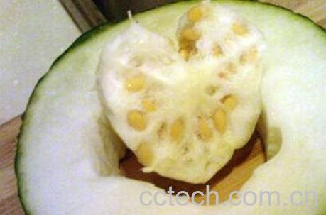 冬瓜瓤的功效与作用-0