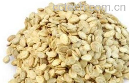 炒冬瓜子的做法与功效-1