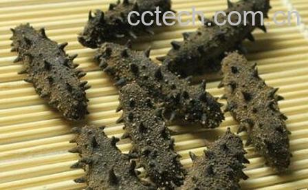 干海参的保质期多长时间 干海参如何保存-1