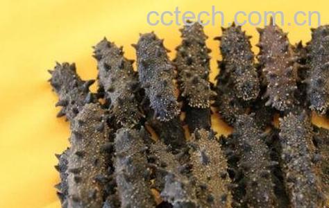 干海参的保质期多长时间 干海参如何保存-0