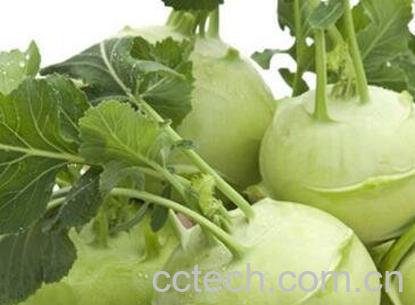  芥兰头怎样腌制-0