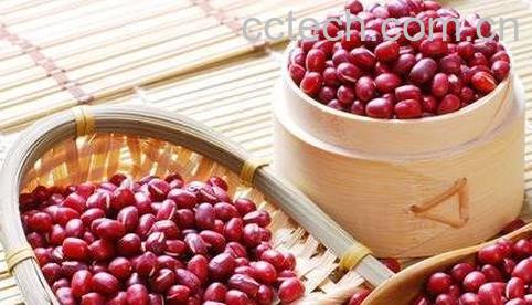 红豇豆的功效与作用-0