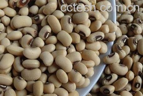 白豇豆的功效与作用-0