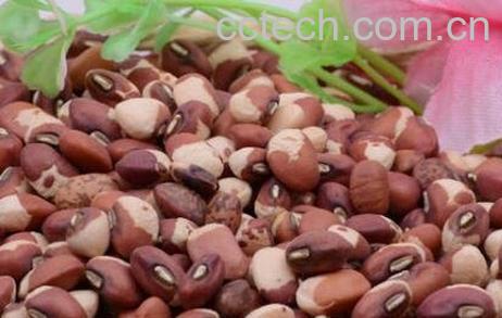  豇豆米的功效与作用-0