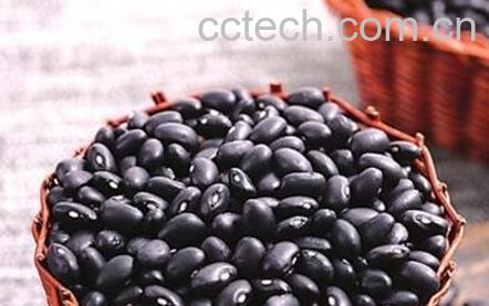 黑豆怎么吃最好 黑豆的正确吃法-1
