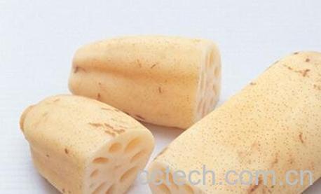 东方菜的功效与作用-0