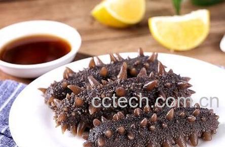 海参怎么吃 海参的简单最佳吃法-1