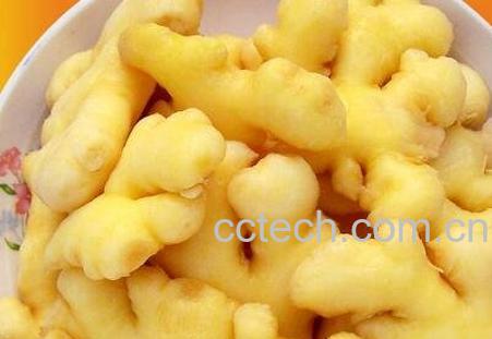 姜去皮和不去皮的区别-1