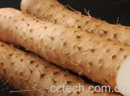 山药如何快速去皮 山药去皮的方法-0