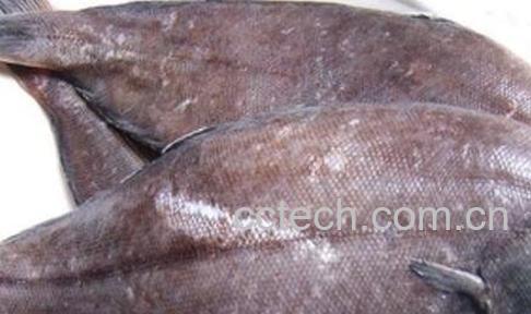 鳎目鱼怎么去皮 鳎目鱼去皮的方法技巧-1