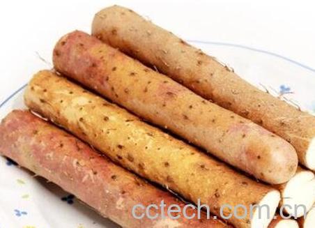 山药如何快速去皮 山药去皮的方法-1