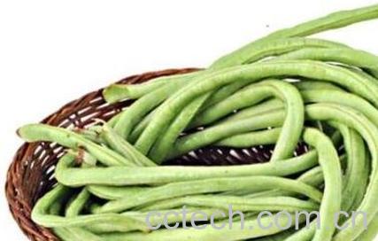 豇豆的营养价值有哪些-0