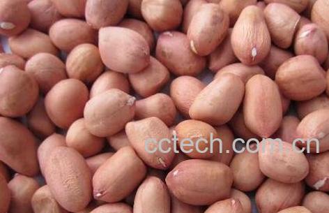 花生米怎样去皮最快 去花生皮最快的方法-0