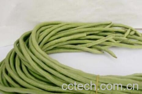 缸豆和豇豆有什么区别-0