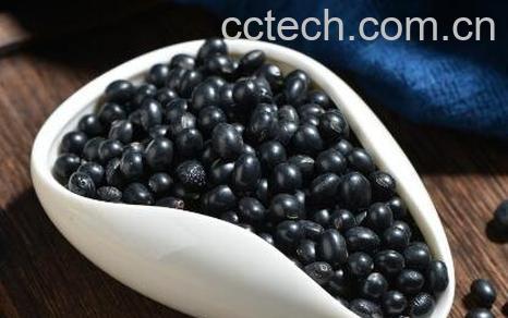 黑黄豆的功效与作用-1
