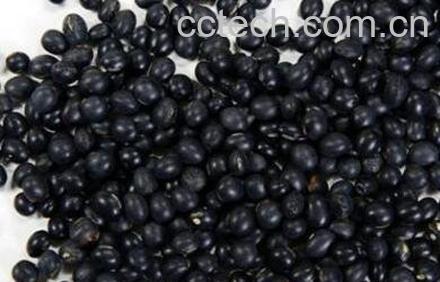黑黄豆的功效与作用-0