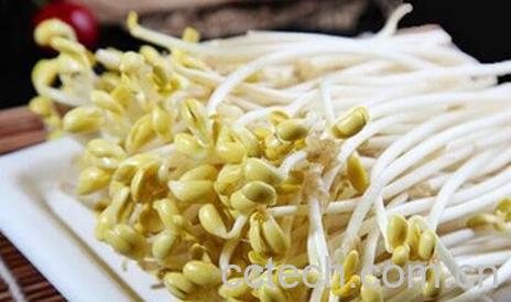 黄豆芽的营养价值 吃黄豆芽的好处-0