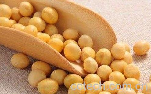 黄豆不能和什么一起吃-0