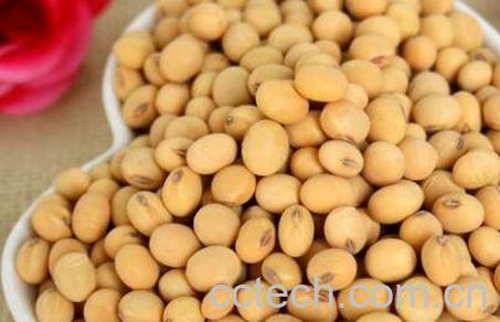 黄豆不能和什么一起吃-1