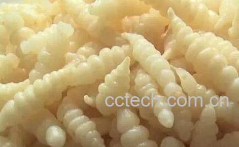 宝塔菜的功效与作用-0