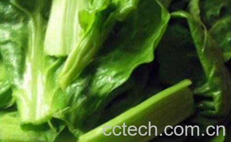 q达菜的功效与作用-0