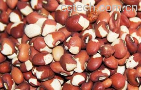 饭豇豆的功效与作用-0