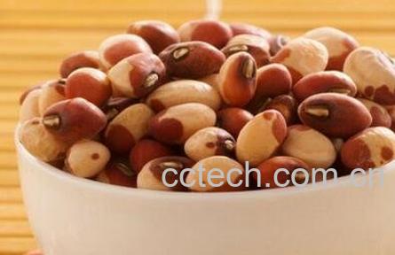 饭豇豆的功效与作用-1