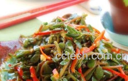 麻齿菜的功效与作用-1