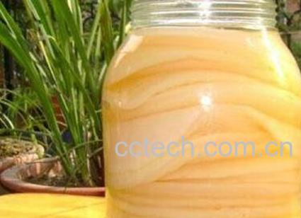 红茶菌的功效-0