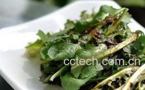 青麻菜的功效与作用及食用方法-0