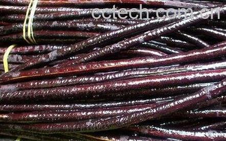 紫豇豆的功效与作用-0