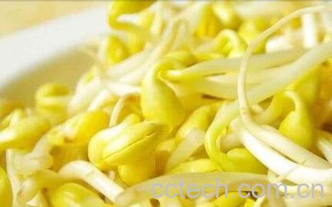 黄豆芽怎么发 黄豆芽培育技术-1