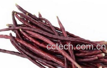 紫豇豆的功效与作用-1