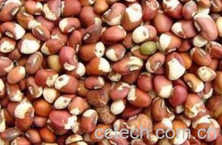 花豇豆的功效与作用-0