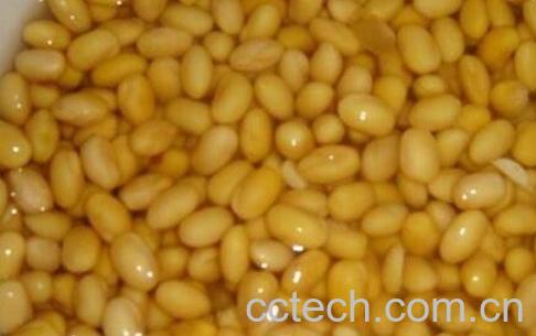 黄豆水的功效与作用 黄豆水的做法-1