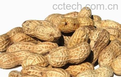 吃花生有什么好处和坏处-0