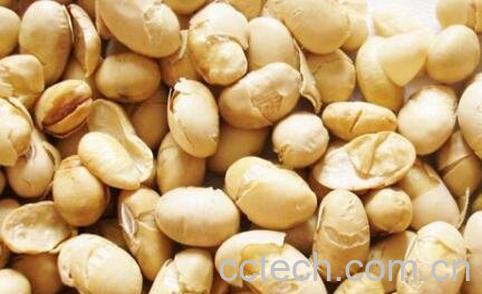 炒黄豆的功效与作用-0
