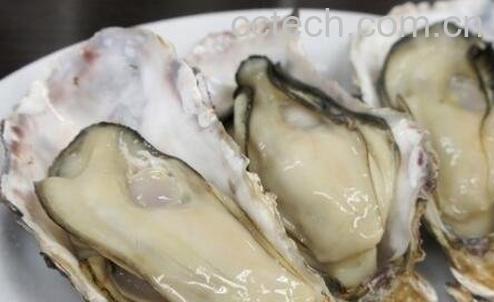 吃什么补肾 肾虚吃什么好-1