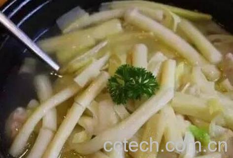 蒲儿菜的功效与作用-1