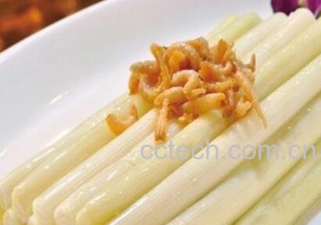 蒲儿菜的功效与作用-0