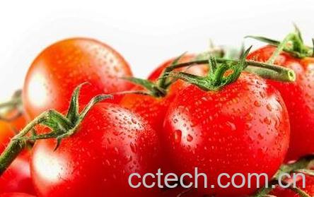 吃西红柿的好处与功效作用-0