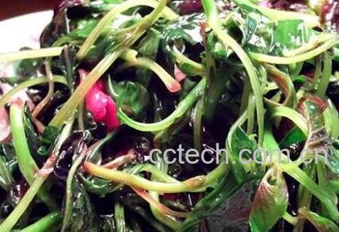 汗菜的功效与营养价值-0