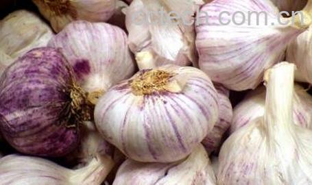 吃大蒜的好处与功效作用-0