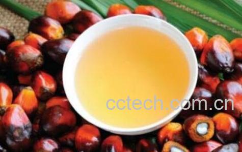 棕榈油的功效与作用-1